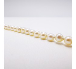 Collier de Perles de Culture (Bijou d'occasion)