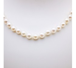 Collier de Perles de Culture d'Eau Douce Or Jaune 750 - 18 carats