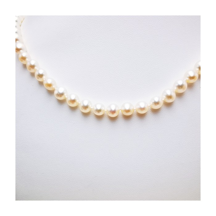 Collier de Perles de Culture d'eau douce Or Jaune 750 - 18 carats