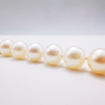 Collier de Perles de Culture (Bijou d'occasion)