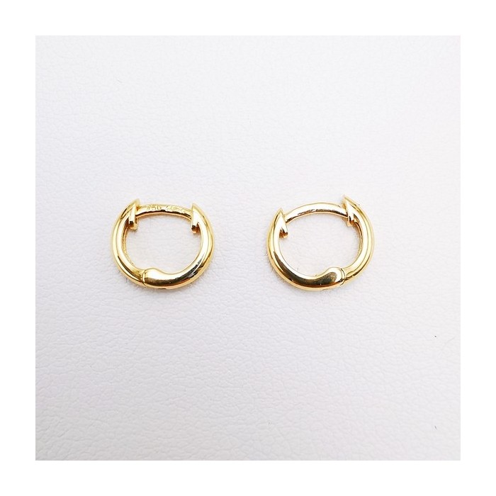 1 Paire De Petites Créoles Dorées 18 Carats Plaquées Or Avec