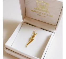 Pendentif Piment / Corne Or Jaune 750 - 18 carats
