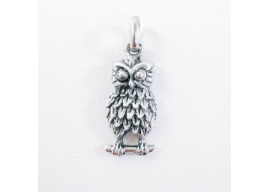 Pendentif Coin Morella Avec Hibou Argenté 33 Mm - Bijou Interchangeable Pour Collier Ou Bracelet - 4