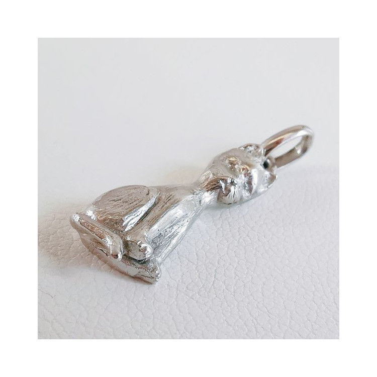 Collier gravé personnalisé pour chien en argent sterling, pièce d'identité militaire - France