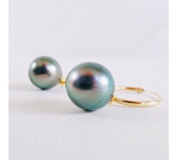Créoles Perles de Tahiti Or Jaune
