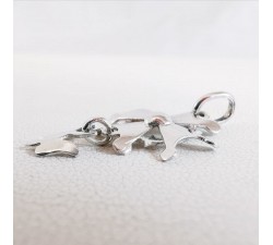 Croix Huguenote Or Blanc 750 - 18 carats